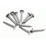 GWOŹDZIE PAPOWE (PAPIAKI) 1KG 3,0x30mm OCYNK